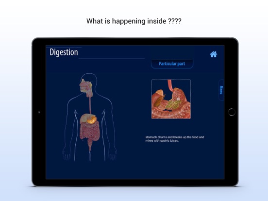 Screenshot #5 pour Human Digestive System