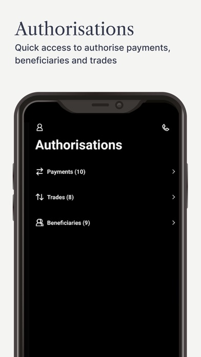 Investec Business Banking Screenshot