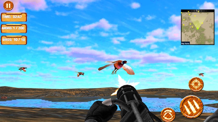 Pheasant Hunt: Bow Shooter 3D screenshot-3