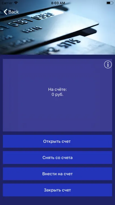 Банкир iPhone Ekran Görüntüsü 10