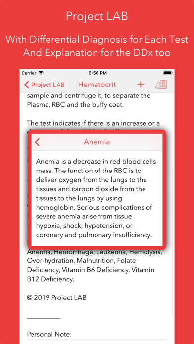 Project LAB screenshot