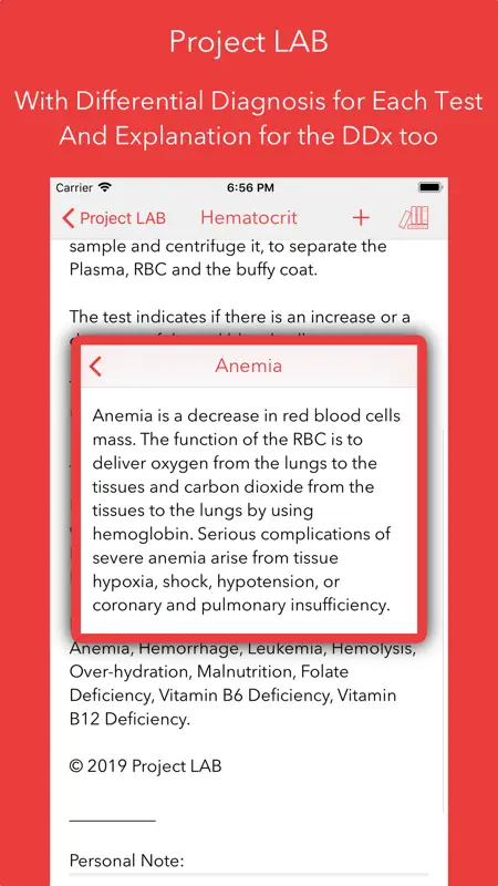 Project LAB screenshot 4 of 6