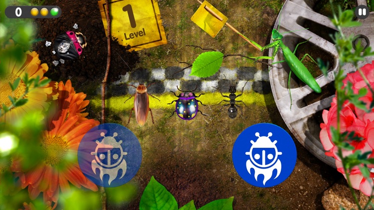 Bug Art screenshot-3
