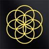 Connetic Balance icon