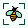 Get Bug Identifier. Picture Insect for iOS, iPhone, iPad Aso Report