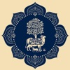 Bluecow : divine connect icon