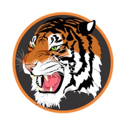 Wellsville Local Schools