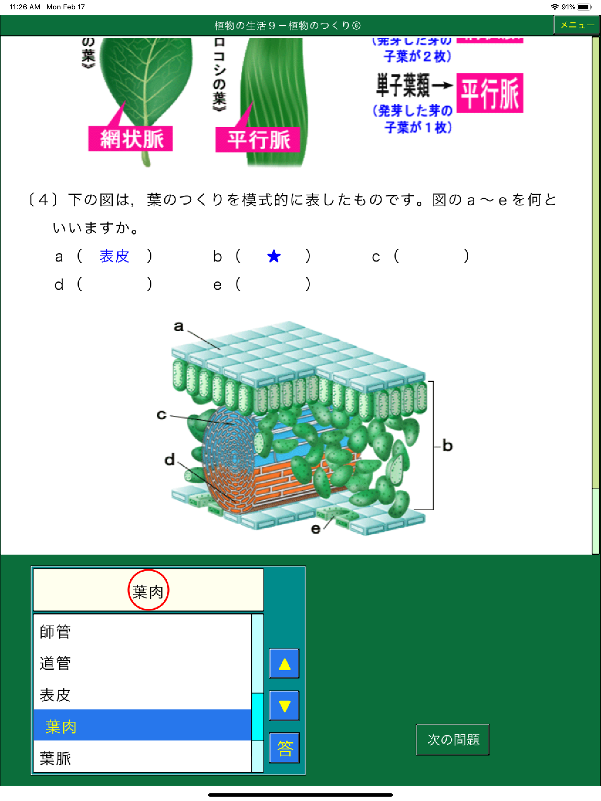 ダンケ理科中学１年 screenshot 8