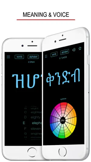 Amharic Words & Writing screenshot 3