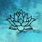 Download the Tranquility Wellness Studio App today to plan and reserve your classes and appointments