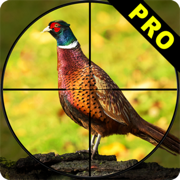 Pheasant Bow Hunting Pro
