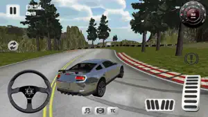 Sport Car Simulator 3D screenshot 1