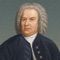 JS Bach: More than Music offers you a complete experience that goes beyond the notes, allowing you to discover the life, work, and legacy of the musical genius