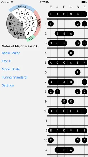 Captura de pantalla de FretBud - Chord & Scales AUv3 en iPhone 1