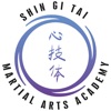 Shin Gi Tai Martial Arts icon
