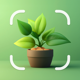 AI Plant Identifier - Plant ID