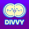 Divvy - Pay It Down icon