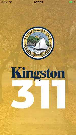 Kingston311 screenshot 1