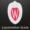 Loco Score icon