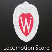 Loco Score