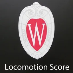 Loco Score app icon