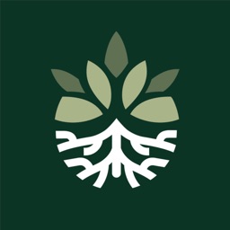 Pando Society