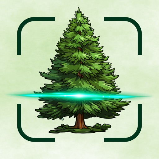 Tree Identifier Forest AI Sova