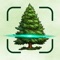 Tree Identifier Forest AI Sova: Discover the Wonders of Nature