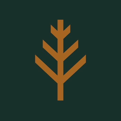 Elm-Ledbury by Fitzrovia