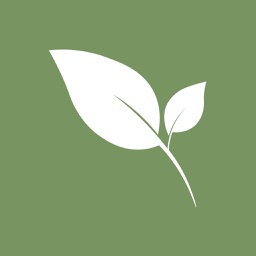 Emmissio