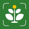 AI Plant Identifier