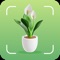 Introducing PlantWise - Your Ultimate Green Companion