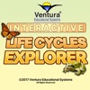Interactive Life Cycles icon