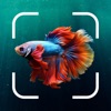 Fish Identifier AI Scan Hill icon