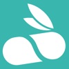 飞兔药城 icon