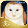 Messenger Oracle - Oceanhouse Media