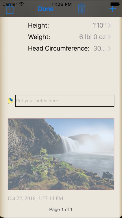Baby Journal 2010 screenshot-3