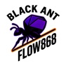 Get Black ant-flow 868 for iOS, iPhone, iPad Aso Report