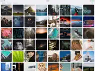 WallpApp - Perfect Wallpapers ipad bilder 1