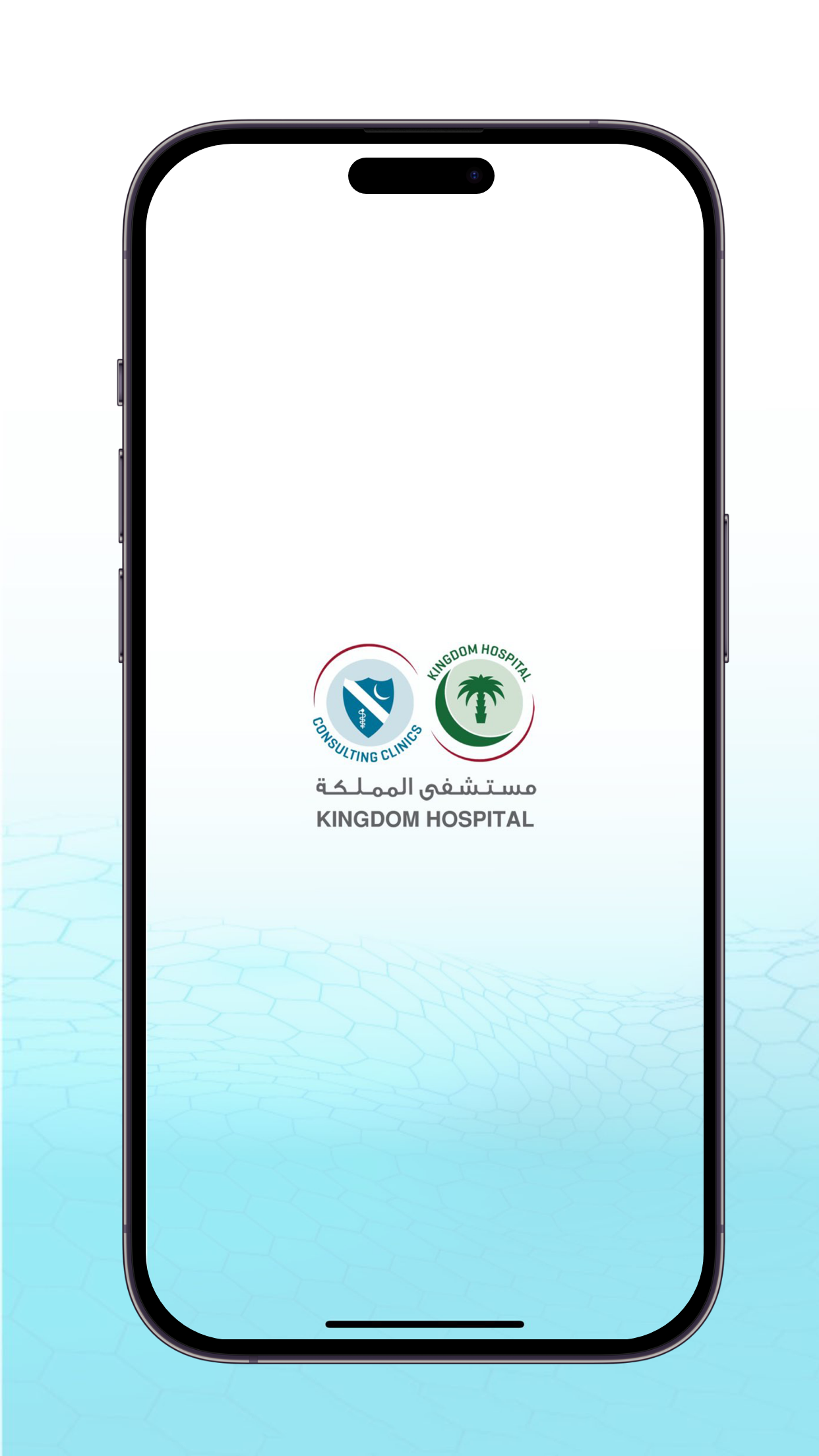 Kingdom Hospital