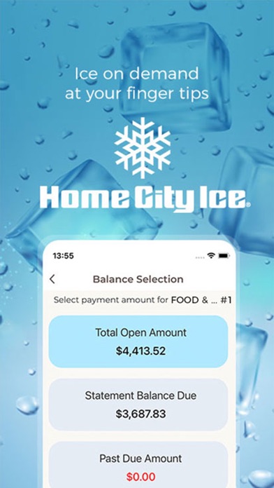 Home City Ice Screenshot