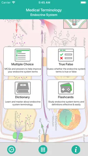 Endocrine System Medical Terms screenshot 1