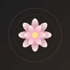 观自在-佛经日历