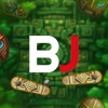 Baji Flipper icon