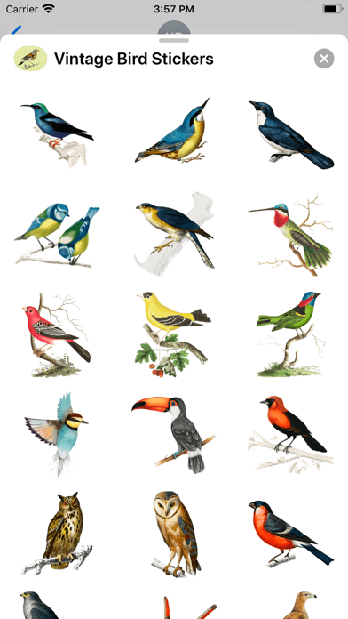 Screenshot #3 pour Vintage Bird Stickers