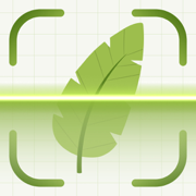 Plant Identifier: Finder, Care