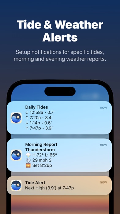 Tide Guide: Charts & Tables Screenshot