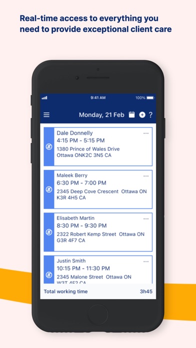 AlayaCare Screenshot