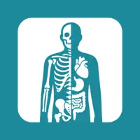 Anatomy Flashcards 2026