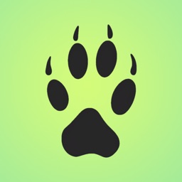 visionZoo: Spatial Animals